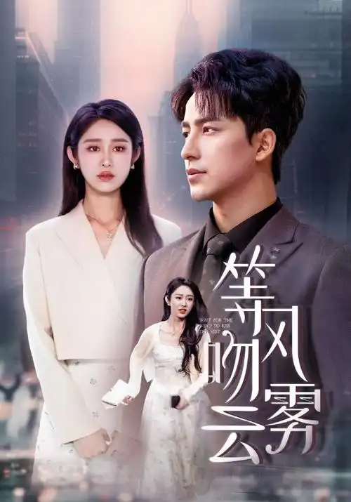 电视剧《破晓行动》海报